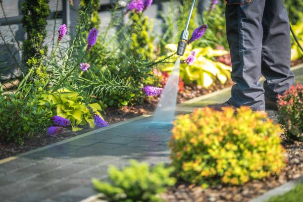 Professional Pressure Washing Services in Sunnyvale, TX